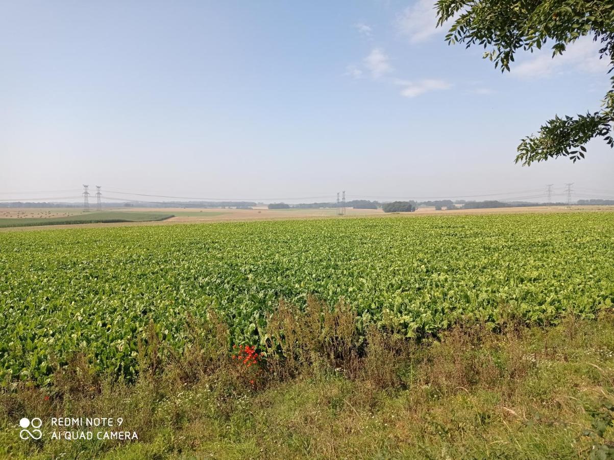Отель Pulilane Le Torp-Mesnil Экстерьер фото
